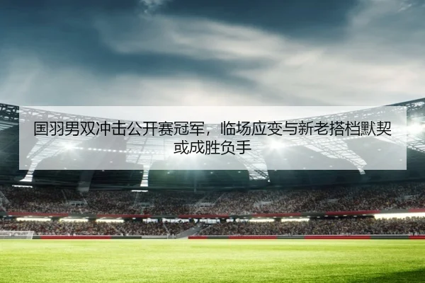国羽男双冲击公开赛冠军，临场应变与新老搭档默契或成胜负手